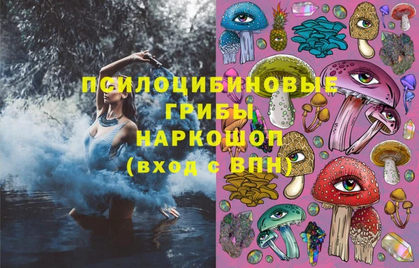 бошки Лабытнанги