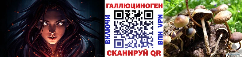 Купить где Камешково Галлюциногенные грибы Cubensis