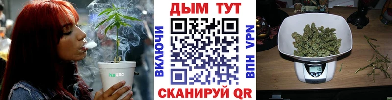 Бошки марихуана OG Kush Камешково