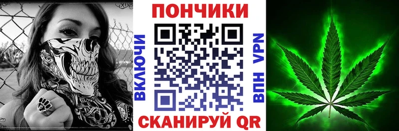 Купить где  Камешково  Бошки Шишки SATIVA & INDICA 